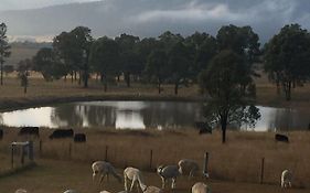 Starline Alpacas Farmstay Resort